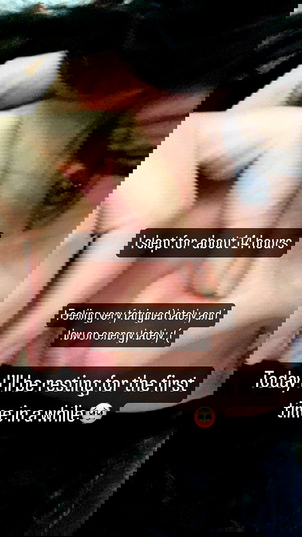 chibinekopurr chibinekopurr archive image