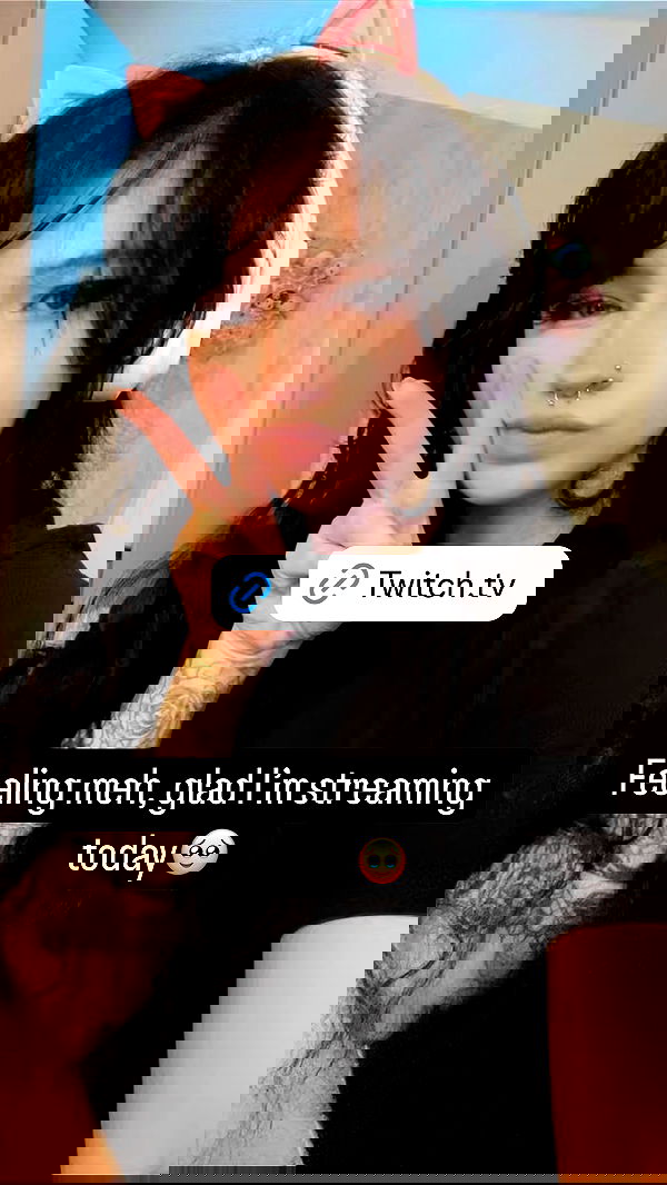 chibinekopurr chibinekopurr archive image