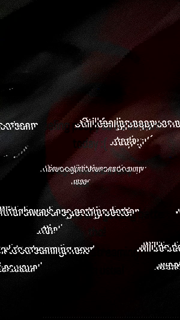 chibinekopurr chibinekopurr archive image