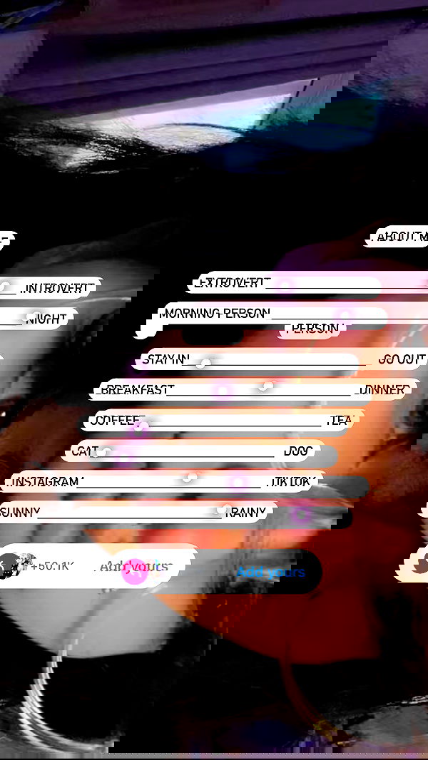 chibinekopurr chibinekopurr archive image