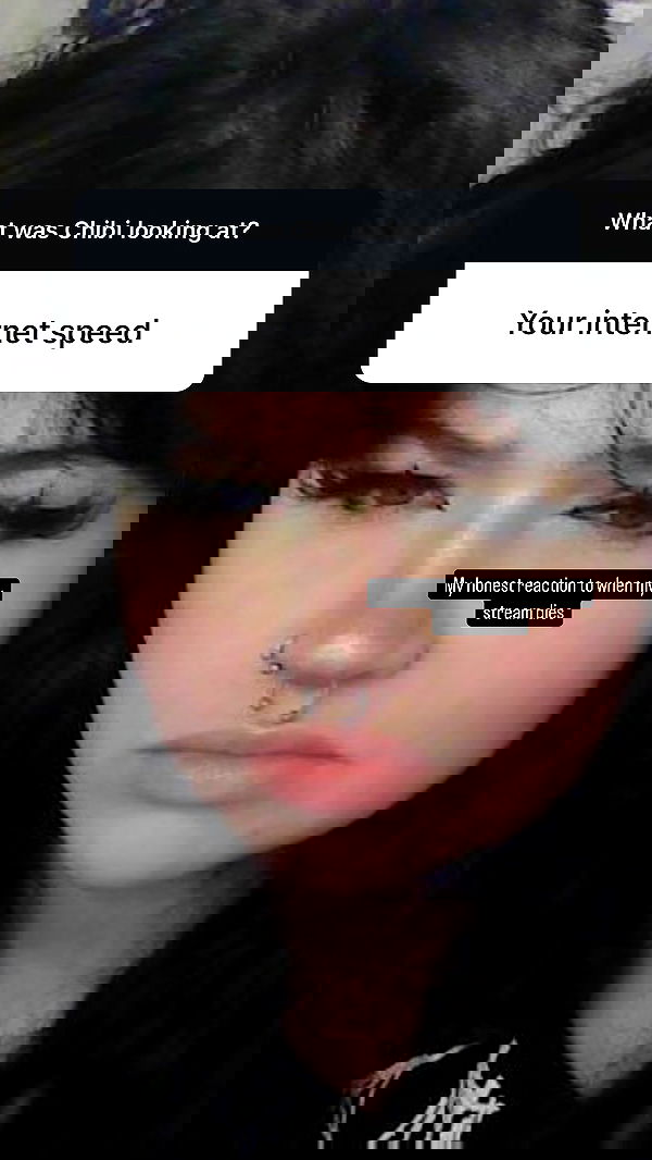 chibinekopurr chibinekopurr archive image