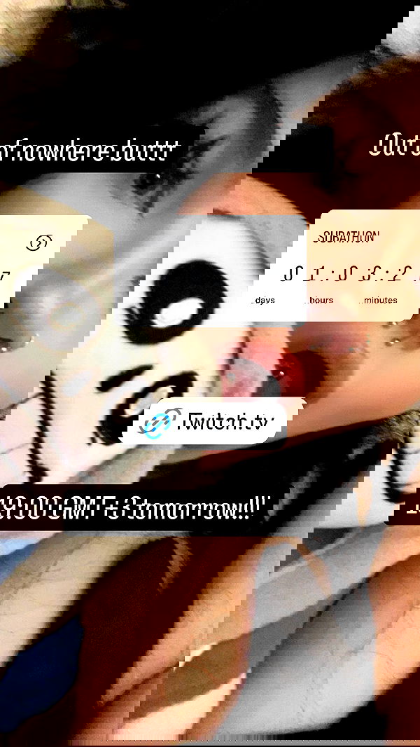 chibinekopurr chibinekopurr archive image