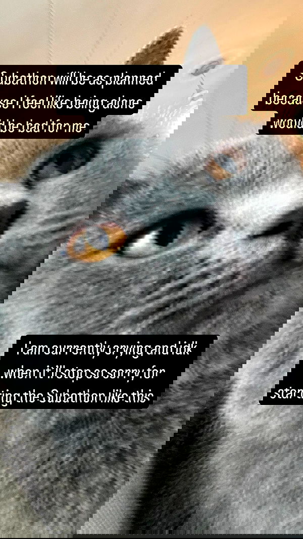 chibinekopurr chibinekopurr archive image