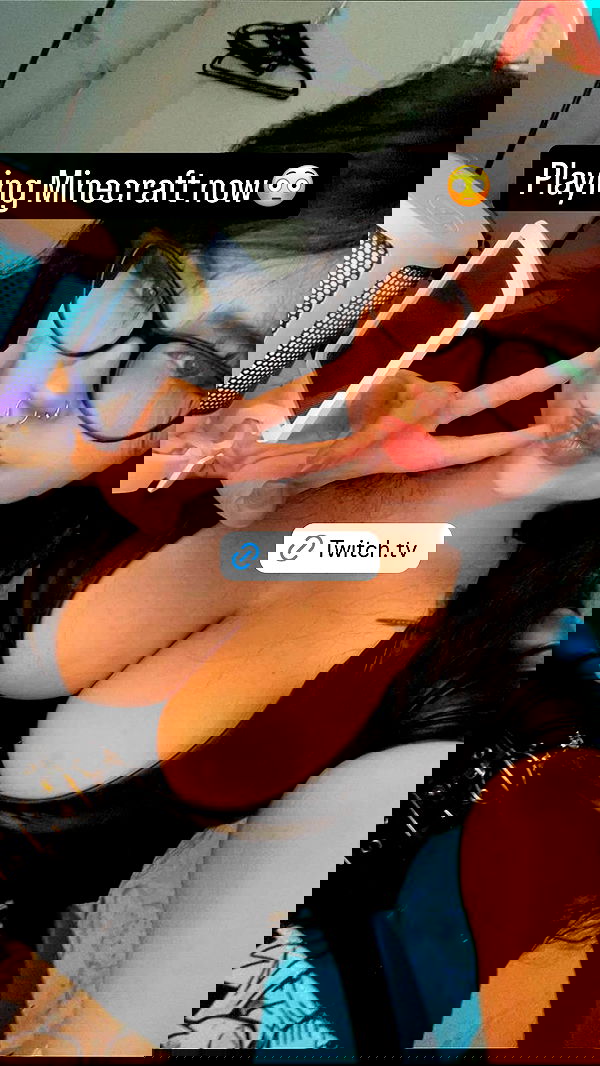 chibinekopurr chibinekopurr archive image