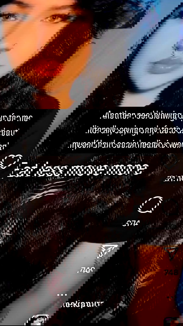 chibinekopurr chibinekopurr archive image