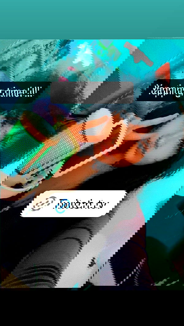 chibinekopurr chibinekopurr archive image