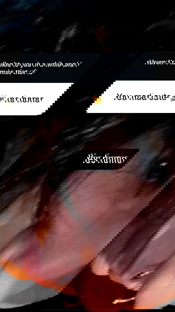 chibinekopurr chibinekopurr archive image