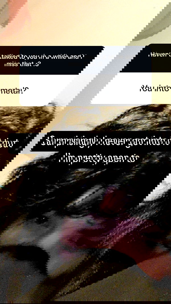 chibinekopurr chibinekopurr archive image