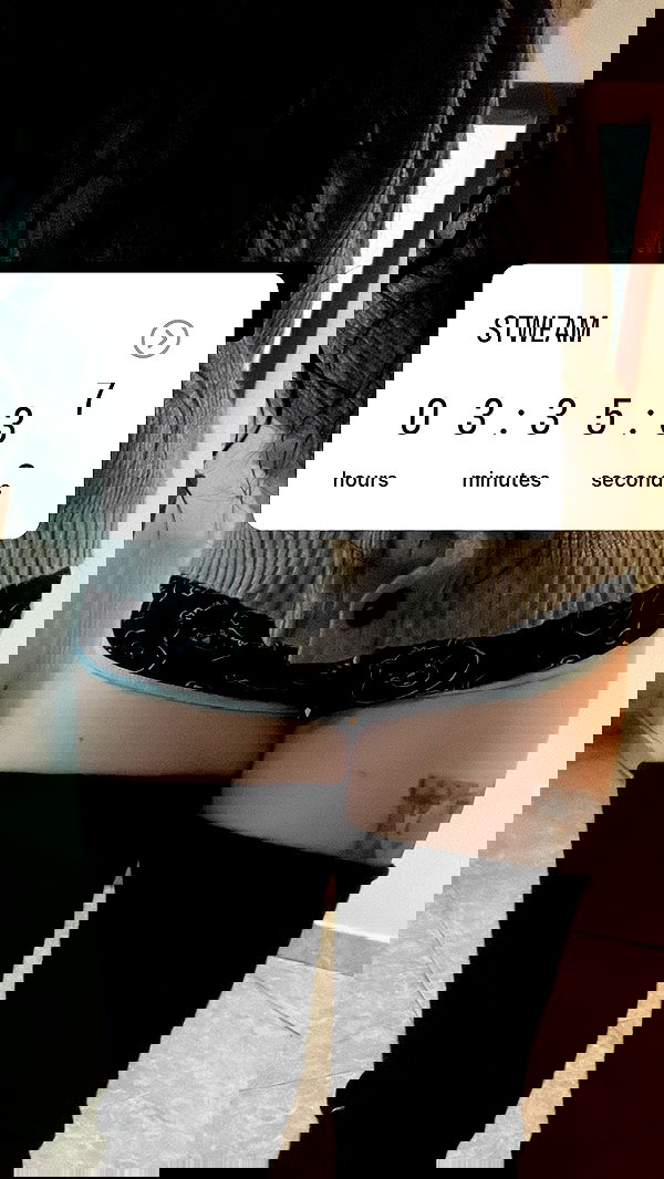 chibinekopurr chibinekopurr archive image