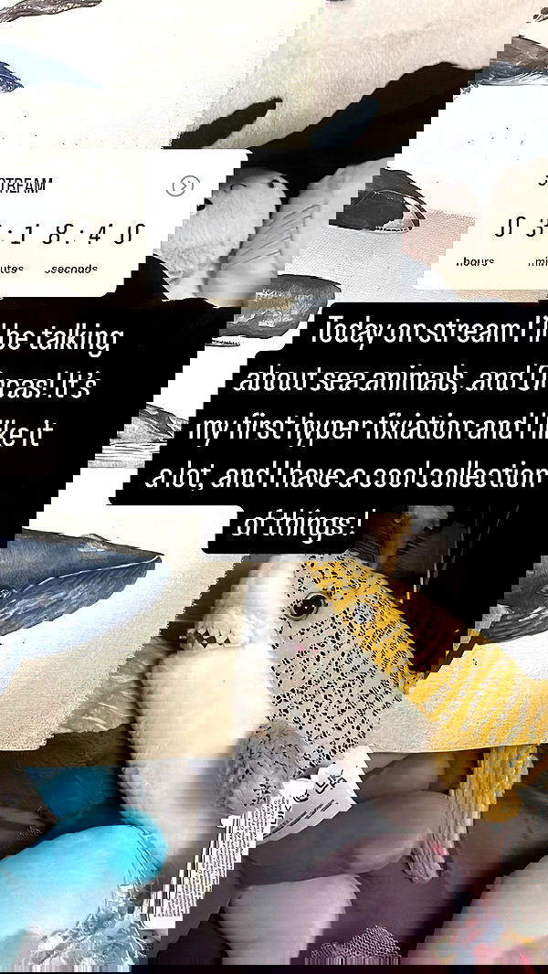 chibinekopurr chibinekopurr archive image