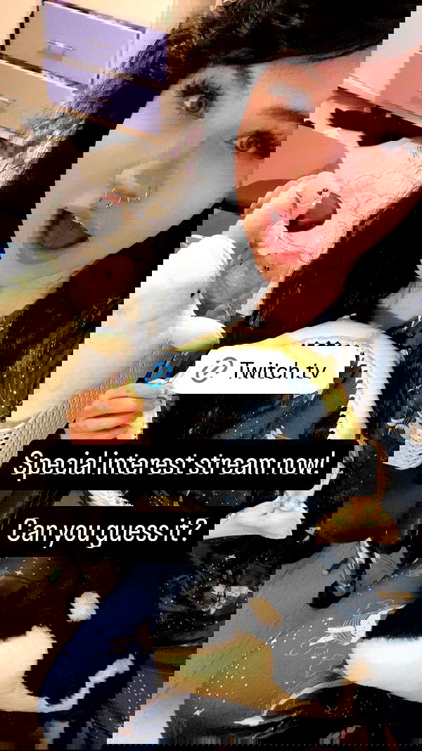 chibinekopurr chibinekopurr archive image