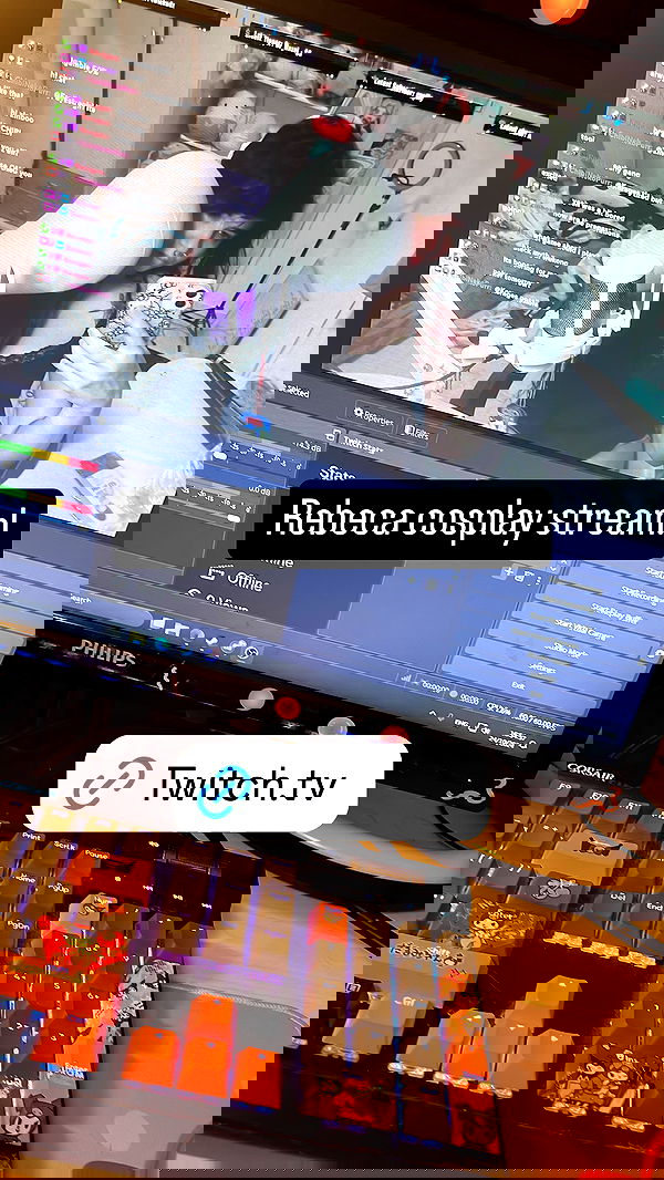 chibinekopurr chibinekopurr archive image