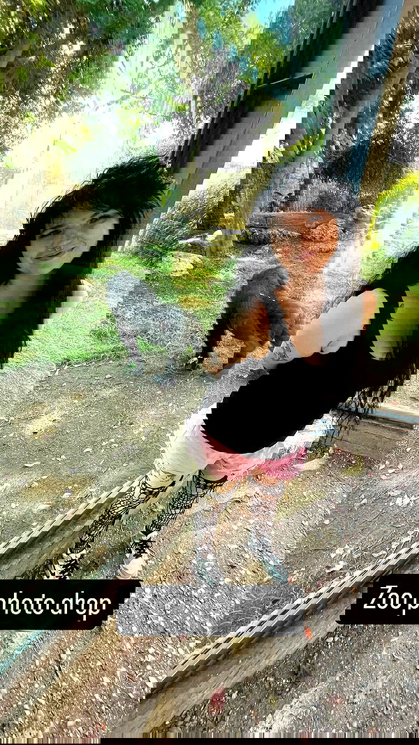 chibinekopurr chibinekopurr archive image