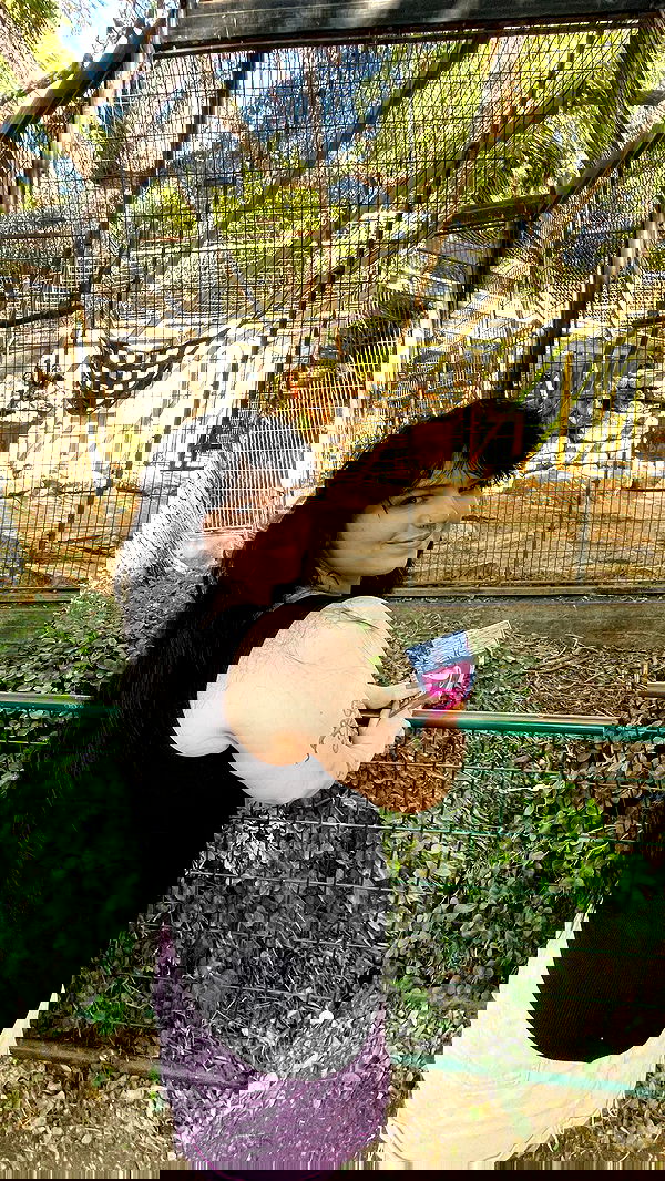 chibinekopurr chibinekopurr archive image