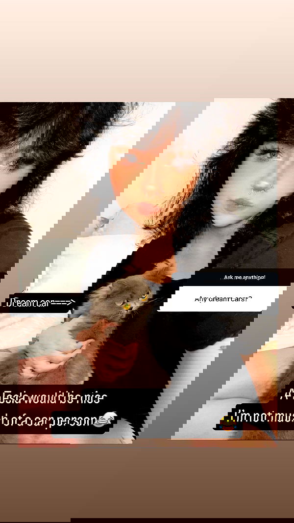 chibinekopurr chibinekopurr archive image