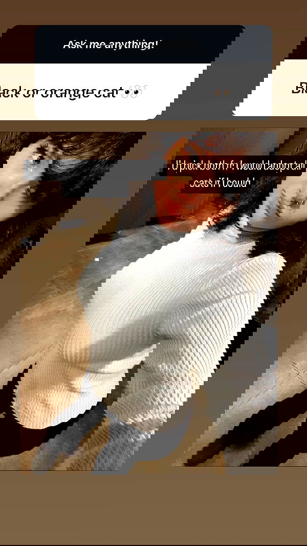 chibinekopurr chibinekopurr archive image