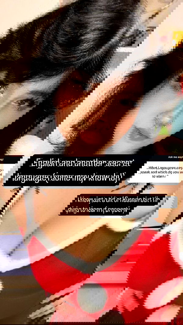 chibinekopurr chibinekopurr archive image