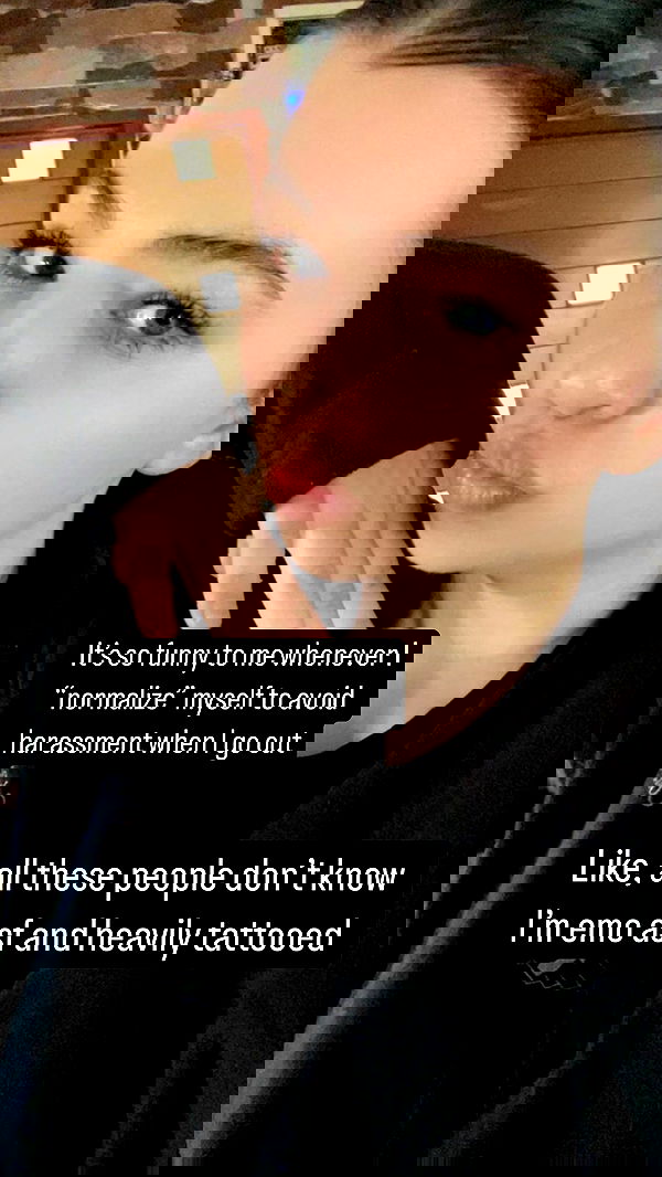 chibinekopurr chibinekopurr archive image