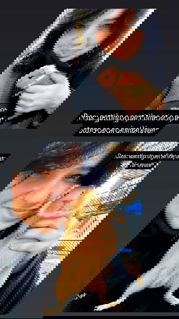 chibinekopurr chibinekopurr archive image