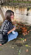 chranababy Altpins Profile Picture