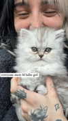 cruellamorgan Altpins Profile Picture