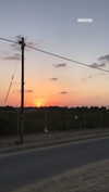 dana_michaeli_ Altpins Profile Picture