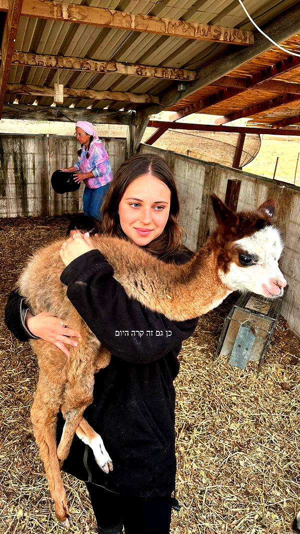 dana_michaeli_ instagram image archive image