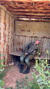 dana_michaeli_ Altpins Profile Picture