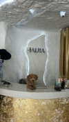 dana_michaeli_ Altpins Profile Picture