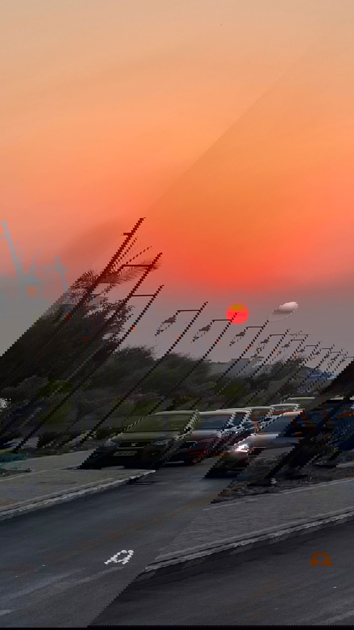 dana_ratushany instagram image archive image