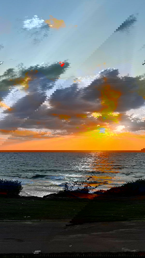 dana_ratushany image ~ Altpins