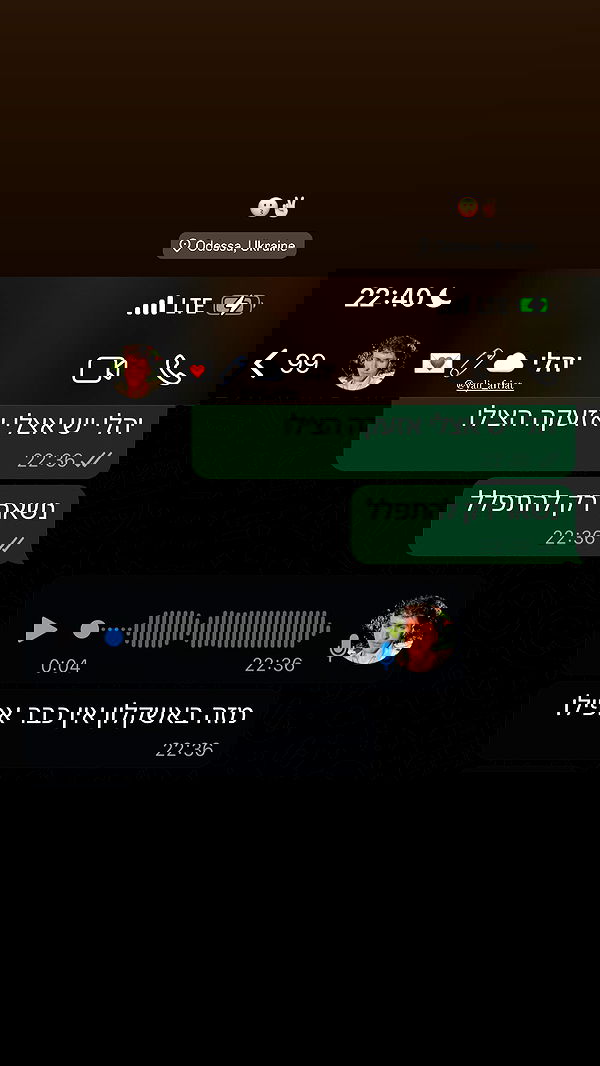 dana_ratushany image ~ Altpins