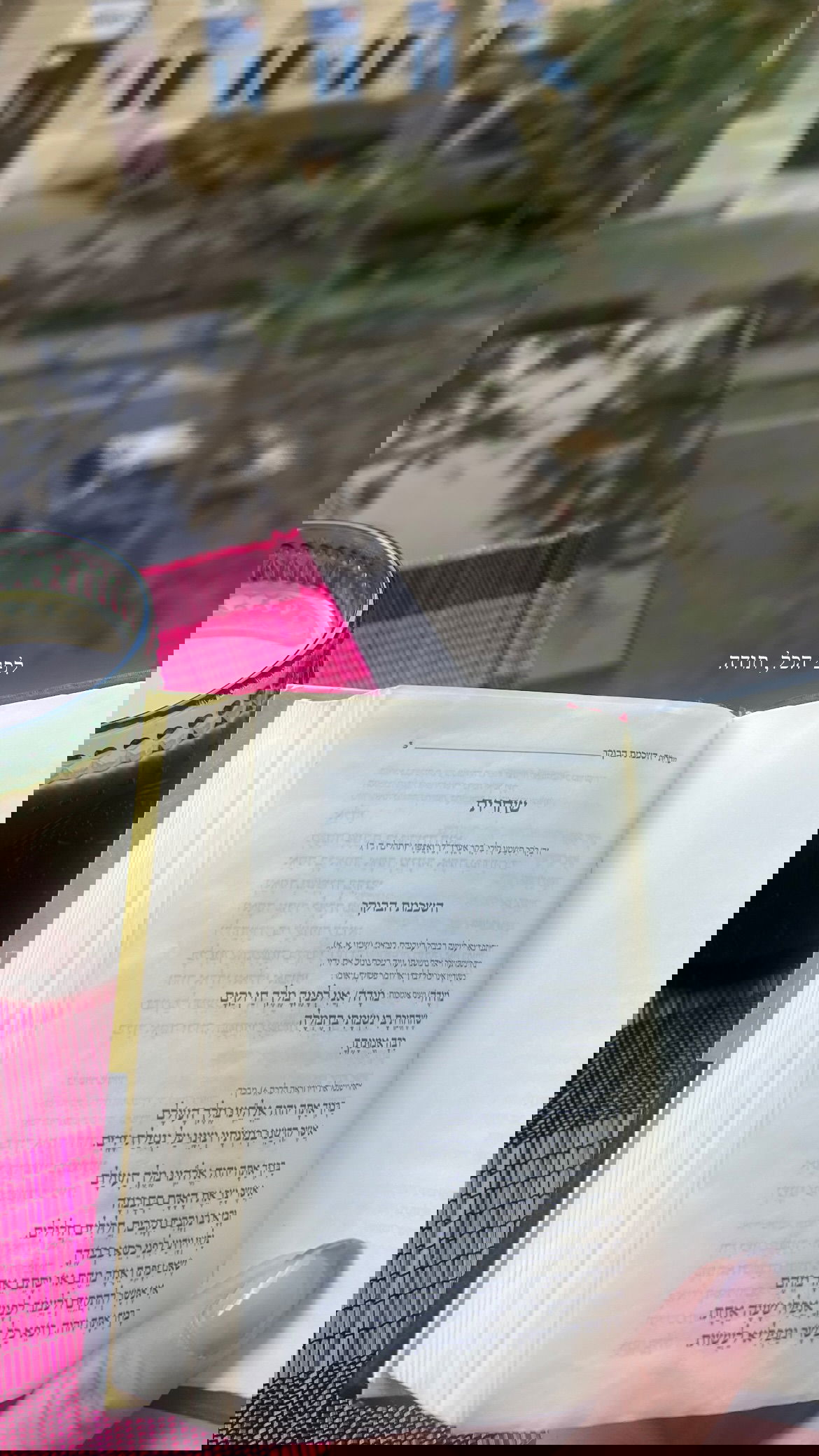 dana_ratushany instagram image archive image