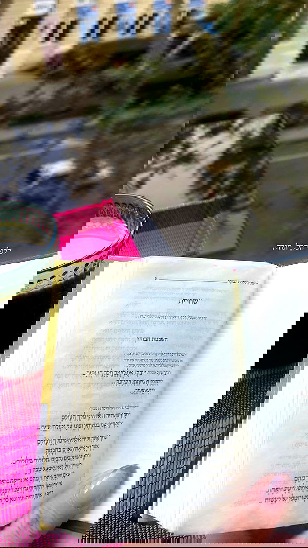 dana_ratushany image ~ Altpins