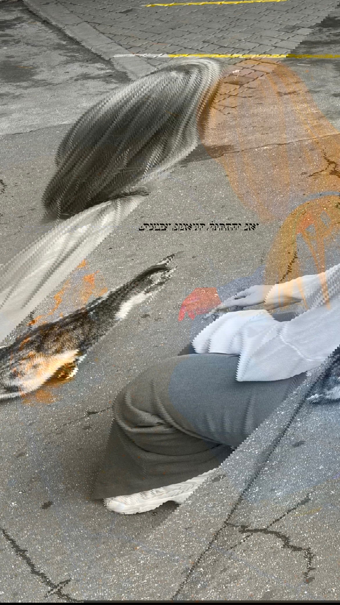 dana_ratushany instagram image archive image