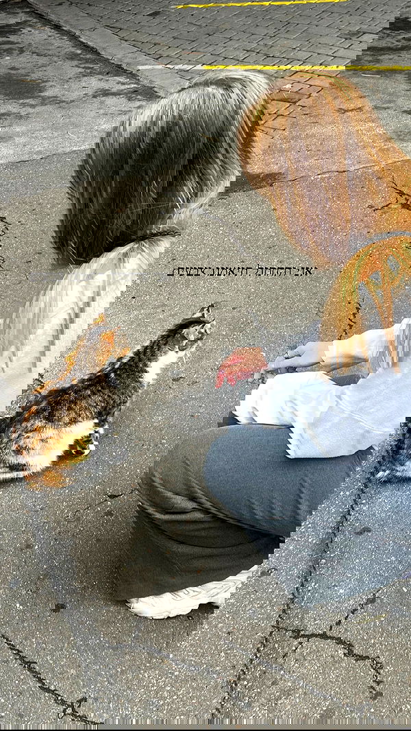 dana_ratushany image ~ Altpins