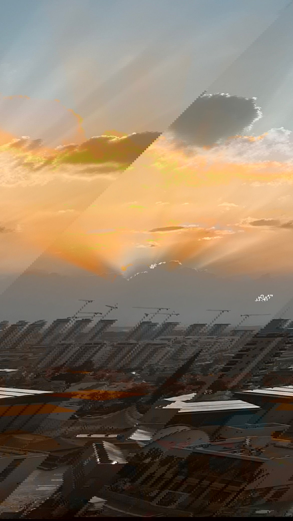 dana_ratushany instagram image archive image