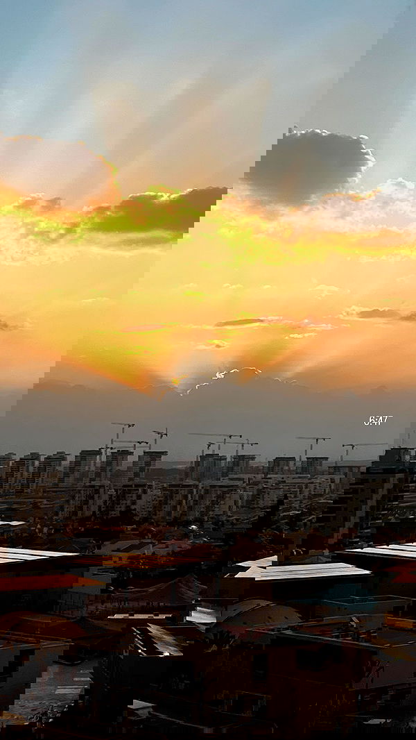 dana_ratushany image ~ Altpins