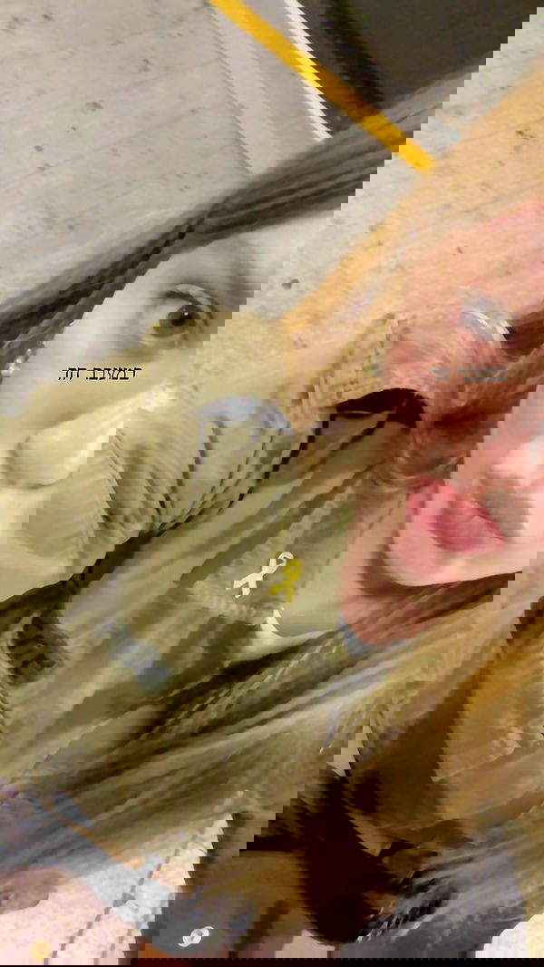 dana_ratushany image ~ Altpins