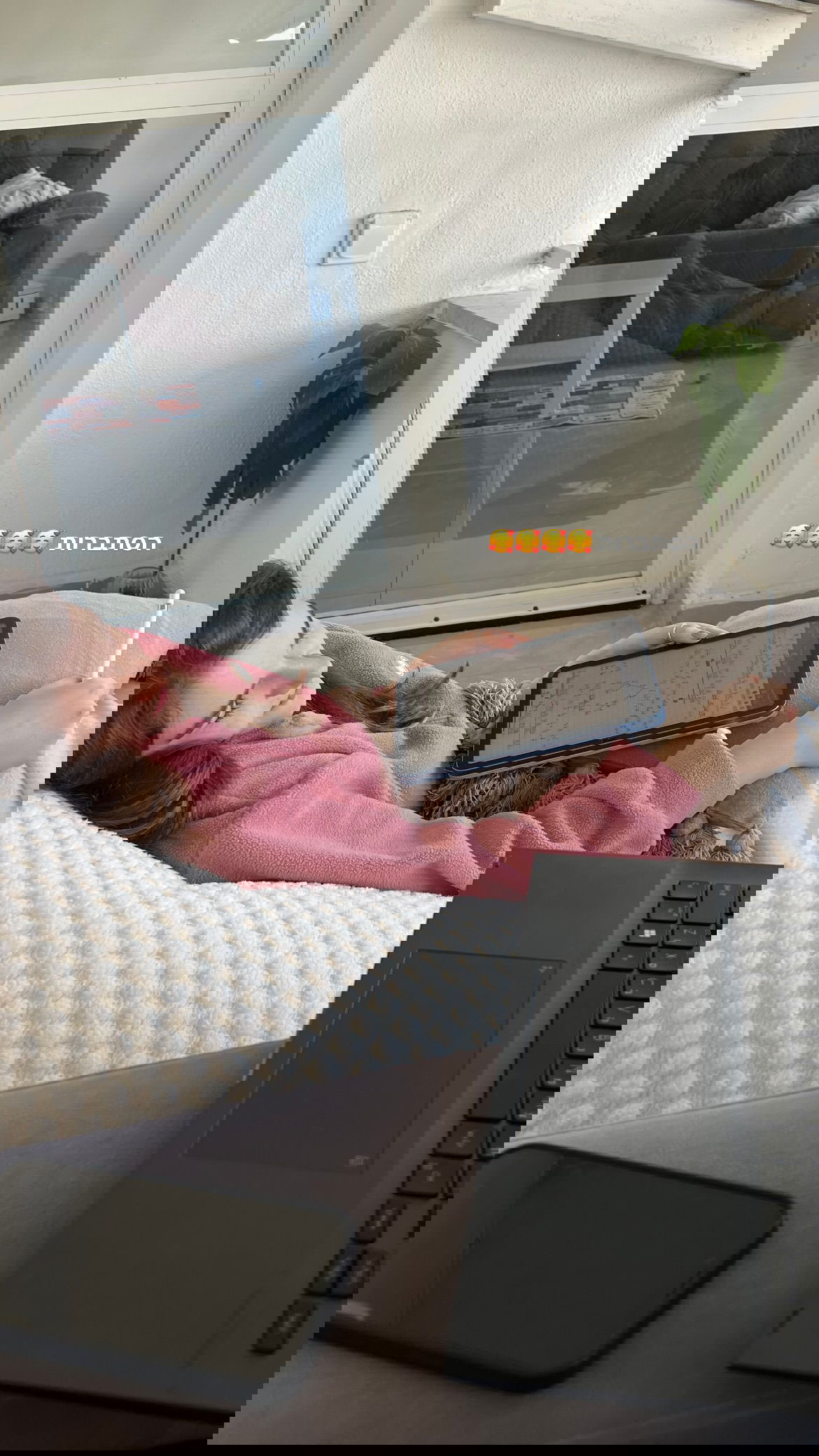 dana_ratushany instagram image archive image