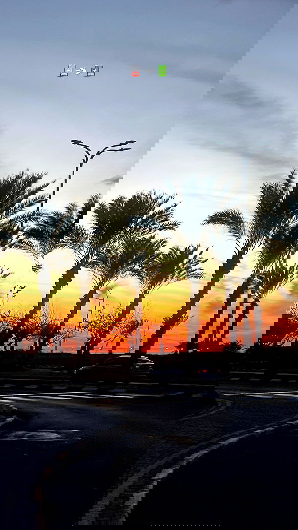 dana_ratushany image ~ Altpins