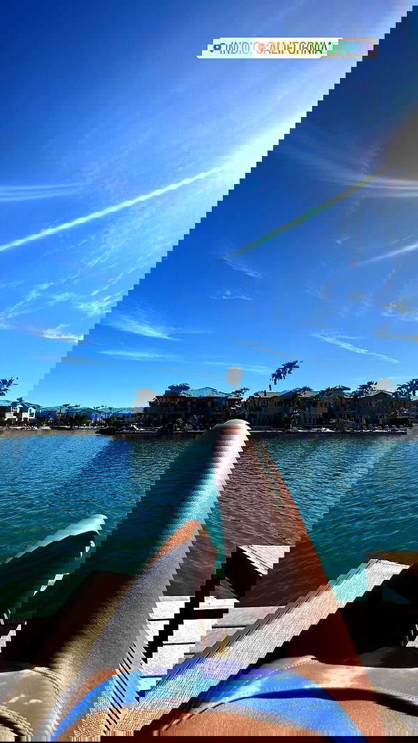 daniel_shallom image ~ Altpins