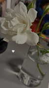 daniela.pritika Altpins Profile Picture