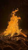 darcihowlett_ Altpins Profile Picture