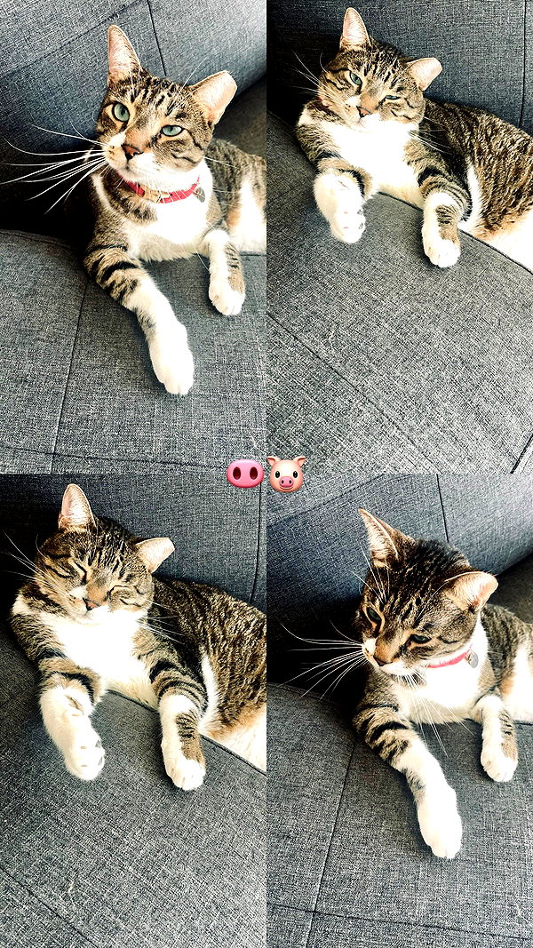 daria.lesin instagram image archive image
