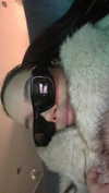 dasha.ilyushchyts Altpins Profile Picture