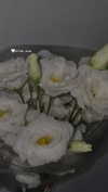 diana.minaev_ Altpins Profile Picture