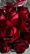 diana.minaev_ Altpins Profile Picture