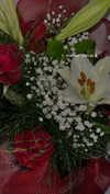 diana.minaev_ Altpins Profile Picture