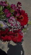 diana.minaev_ Altpins Profile Picture